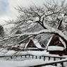 山里の 冬の厳しさ 来てみれば 池の水面に 雪ぞ積もれり