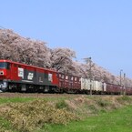 桜満開の船岡