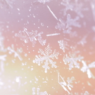 Snow crystal *