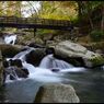 Mountain bird ravine 