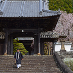 城下町竹田の花めぐり　１