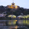 三溪園の夜桜2013