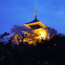 三溪園の夜桜2013