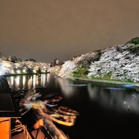 千鳥ヶ淵　夜桜　ボート