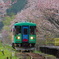 桜電車