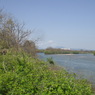 木津川（右）と宇治川（左）の合流