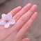 桜ring