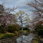 池の辺