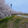 加治川治水公園３