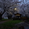 加治川治水公園５