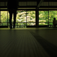 2013春　京都寺巡り