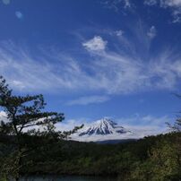 西湖からの富士