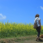 菜の花散歩だ、ワン♪