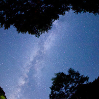 もみじ平で見る星空