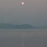 琵琶湖の水鳥と月