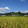 和束町の田園風景