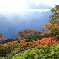 紅葉燦々と