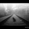 Black Cat and Railway.