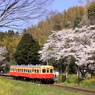 出張で小湊鉄道１