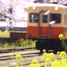 出張で小湊鉄道２