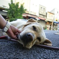 きもちい～～眠くなっちゃう~