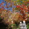 白山　大倉山避難小屋