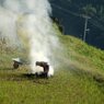 佐賀県福島町　土田棚田にて