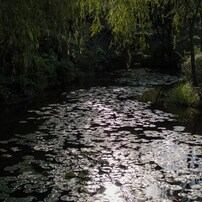 アートが集まる島にて