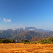 山の草紅葉