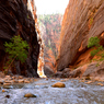 The Great Earth-Zion Narrows