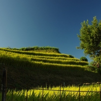 千早赤阪村