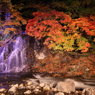 紅葉と滝とカメラ