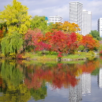 ２０１３秋　札幌　中島公園の紅葉