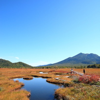 秋の湿原