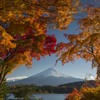 富士三昧182 日本の秋3