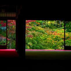 京都の虹