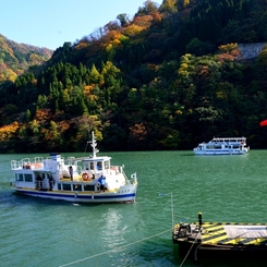 紅秋　庄川峡船の旅１