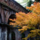 南禅寺の紅葉