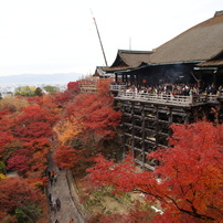 京都　清水寺