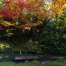 小さな琵琶湖の紅葉
