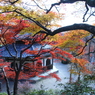 京都西山善峯寺　その３