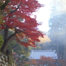 円覚寺の秋 04