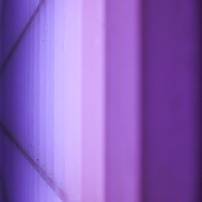 紫線