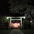 鴻神社⑪ギャラリー