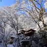 奥嵯峨野の冬景色