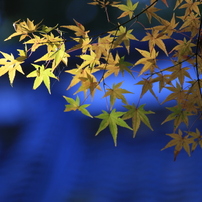 小京都の秋