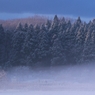 里山の朝