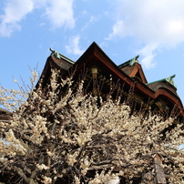 北野天満宮