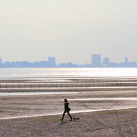 湾岸散歩