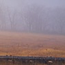 朝霧の尾瀬ヶ原ー木道の向こうに